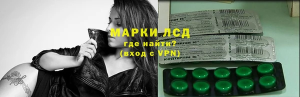 индика Верхний Тагил