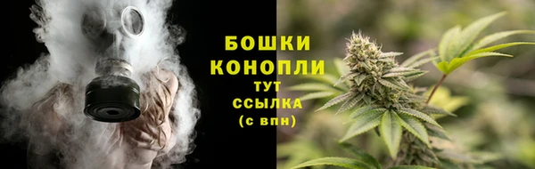 PSILOCYBIN Волоколамск