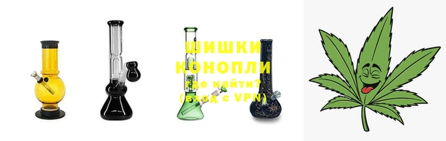 стаф Володарск