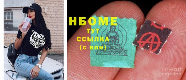 индика Верхний Тагил