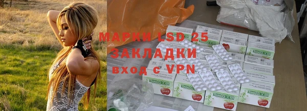 индика Верхний Тагил