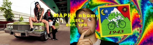 индика Верхний Тагил