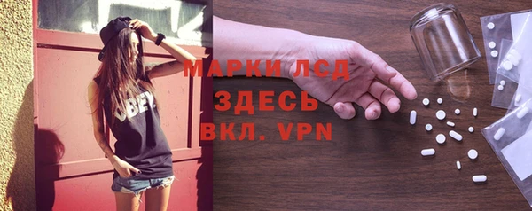 индика Верхний Тагил