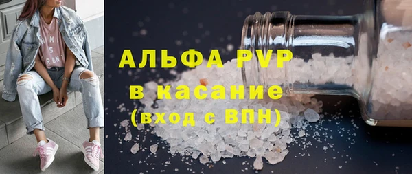 индика Верхний Тагил