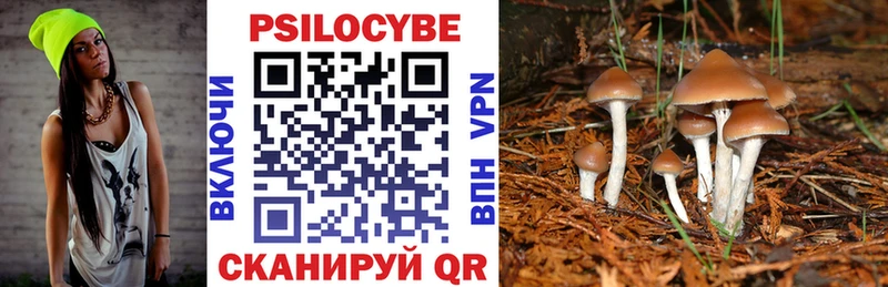 Галлюциногенные грибы Psilocybine cubensis  купить наркотик  МЕГА зеркало  Нальчик 